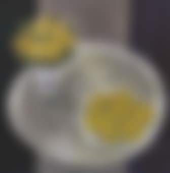 Still life (preview)