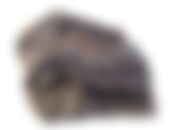 Buffalos (preview)