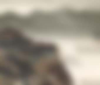 Coastal Village (preview)