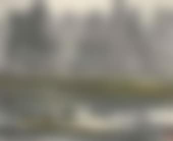 Fishing Birds (preview)