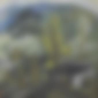 Mountain Village (preview)