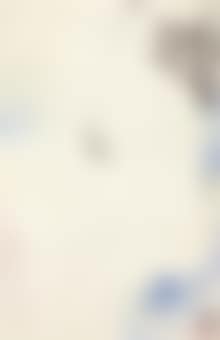 Nude (preview)