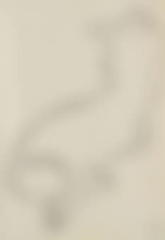 Nude (preview)