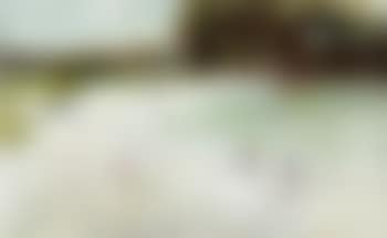 Balmoral Beach (preview)