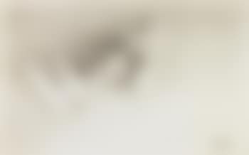 Wanze (preview)