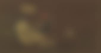 Chickens (preview)