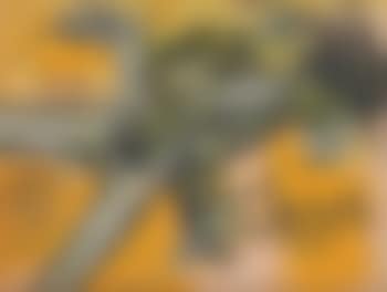 Nude (preview)