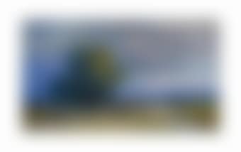 Ox cart crossing a flooded plain (preview)
