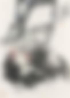 Roosters and Plum Blossoms (preview)