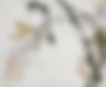 Oiseau Et Glycine (preview)