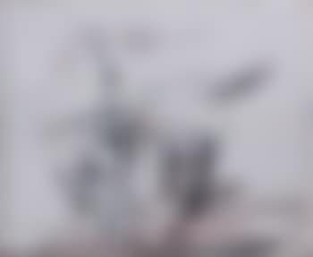 Spacheval II (preview)