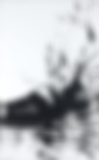 T1984-H2 (preview)