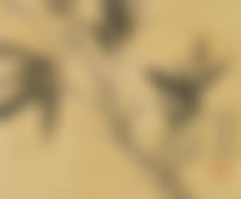 Bamboo (preview)