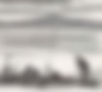 Fisherman and Comorants (preview)