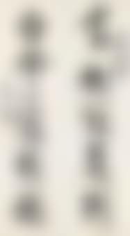 Calligraphic Couplet (preview)