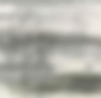 Goose Flying over the Willow Pond (preview)