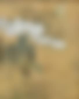 Misty Landscape (preview)