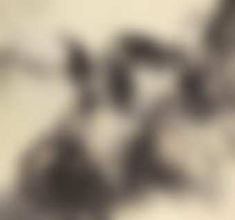 Two Eagles (preview)