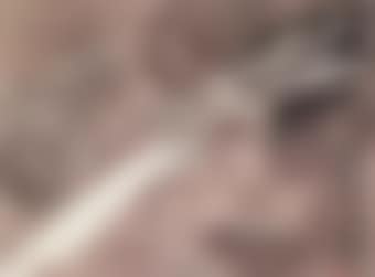 Dragon (preview)
