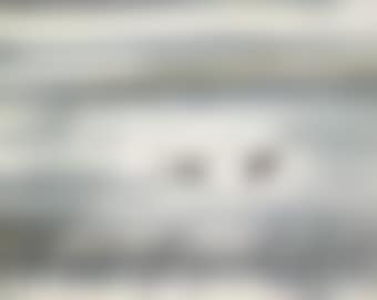 Two Flying Geese (preview)