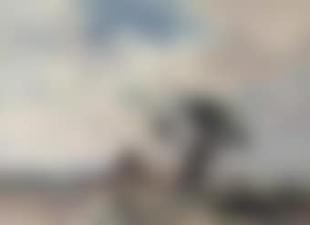 Cottages by the marsh, Norfolk (preview)
