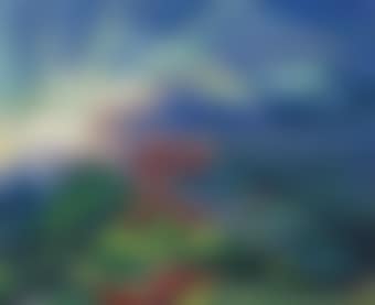 Aurora volando (preview)