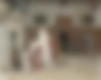The introduction (preview)