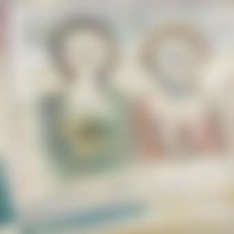 Due figure (preview)