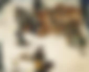 Natura morta (preview)