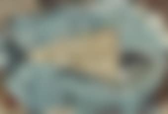 Sardine ouverte (preview)