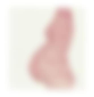 Pregnant Woman (preview)