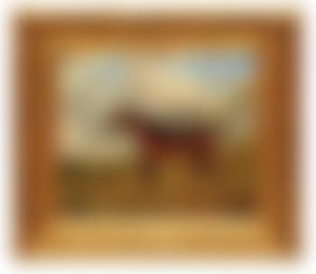 Caballo de carreras (preview)