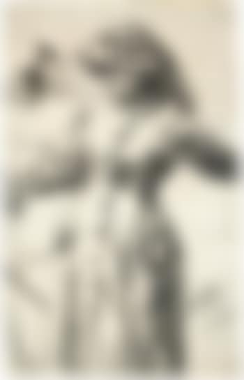 Frauenbildnis (preview)
