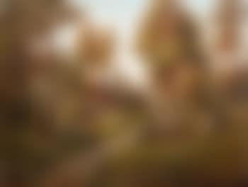 A girl from Porvoo (a farmer's daughter from Uusimaa) (preview)