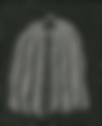 Pumpkin B Q I (preview)