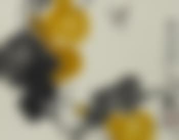 Gourds and Dragonfly (preview)