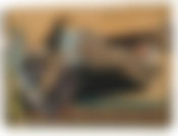 Liegender weiblicher Akt (preview)