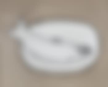 Fish (preview)