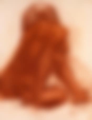Seated nude from the back (preview)