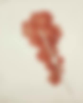 Opus 14 (preview)