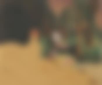 De droom; the dream (preview)