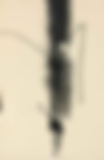 Untitled (preview)