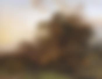 A forest with figures on a path in a hilly landscape (preview)