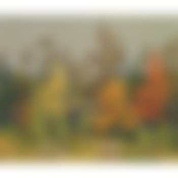 Edge of the woods (preview)