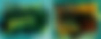 Dew on pine. Songs of bird (preview)