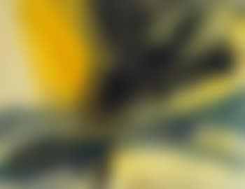 Abstract (preview)