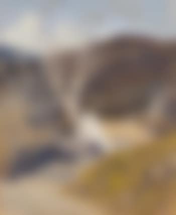 Spring in Wicklow (preview)