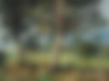 Paysage, Suisse (preview)