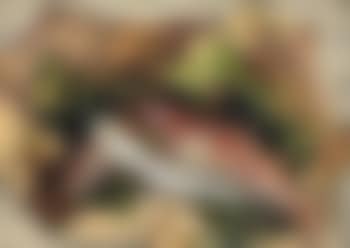 Poissons (preview)