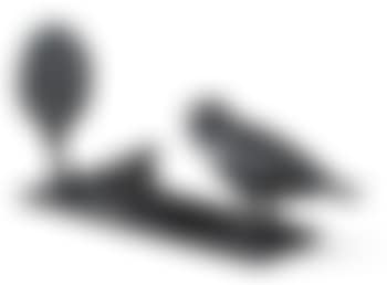 Oiseau, Grenouille Et Arbre (preview)